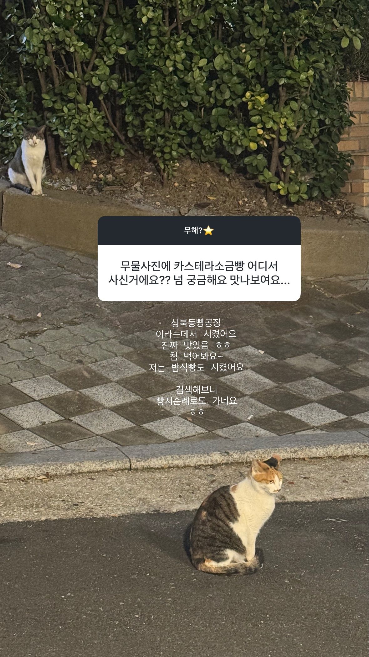 gyeongree__2026-07-15T061917.000Z.jpg