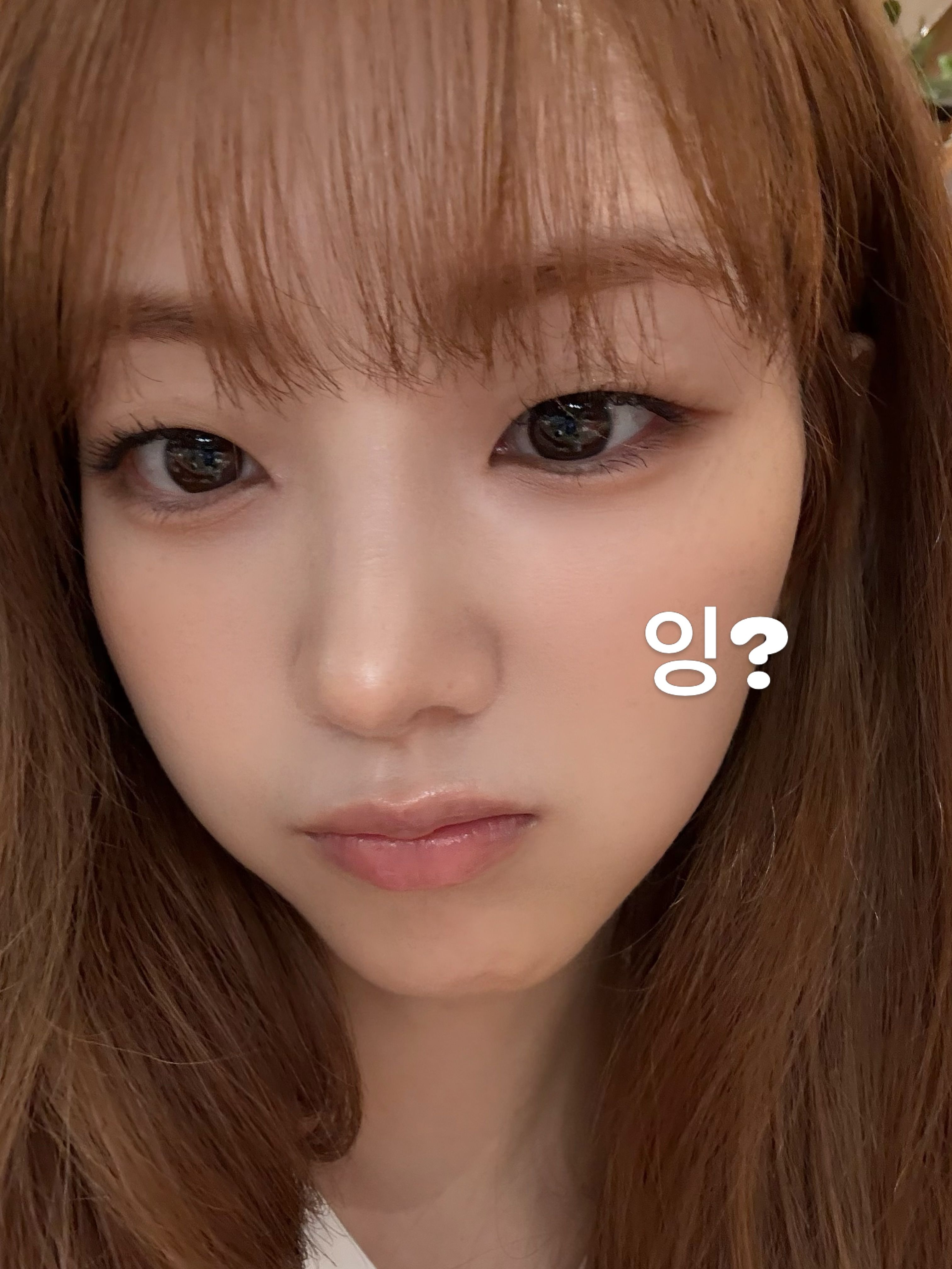 yihyun_1208__2026-07-15T125549.000Z_3.jpg