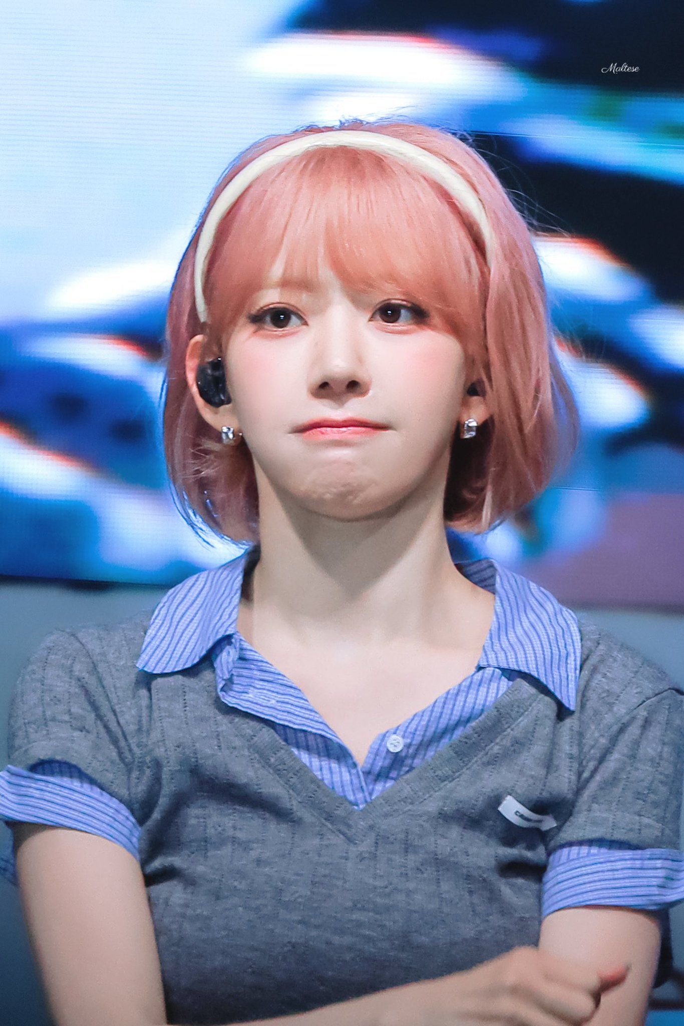 260527 사쿠라 ㅊ (3).jpg