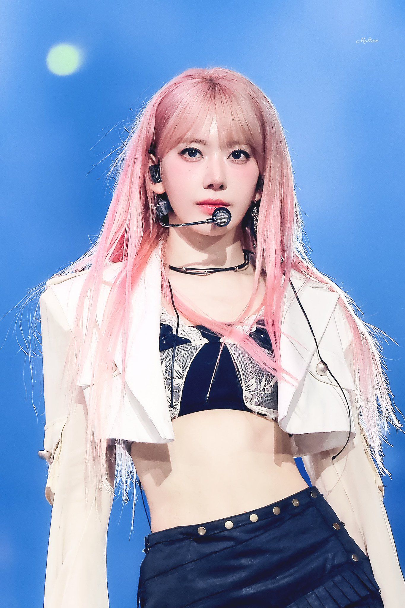 260530 사쿠라 메 (5).jpg