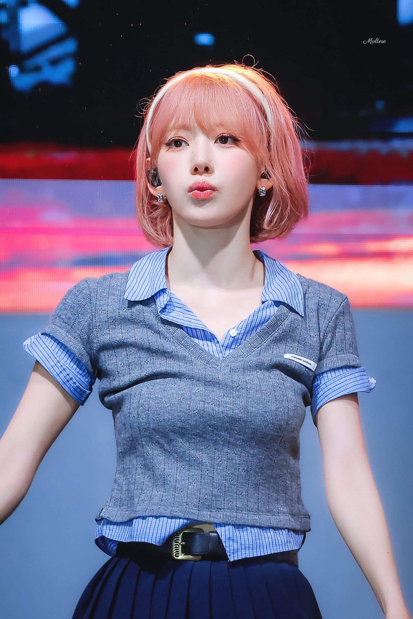 260527 사쿠라 ㅊ (4).jpg