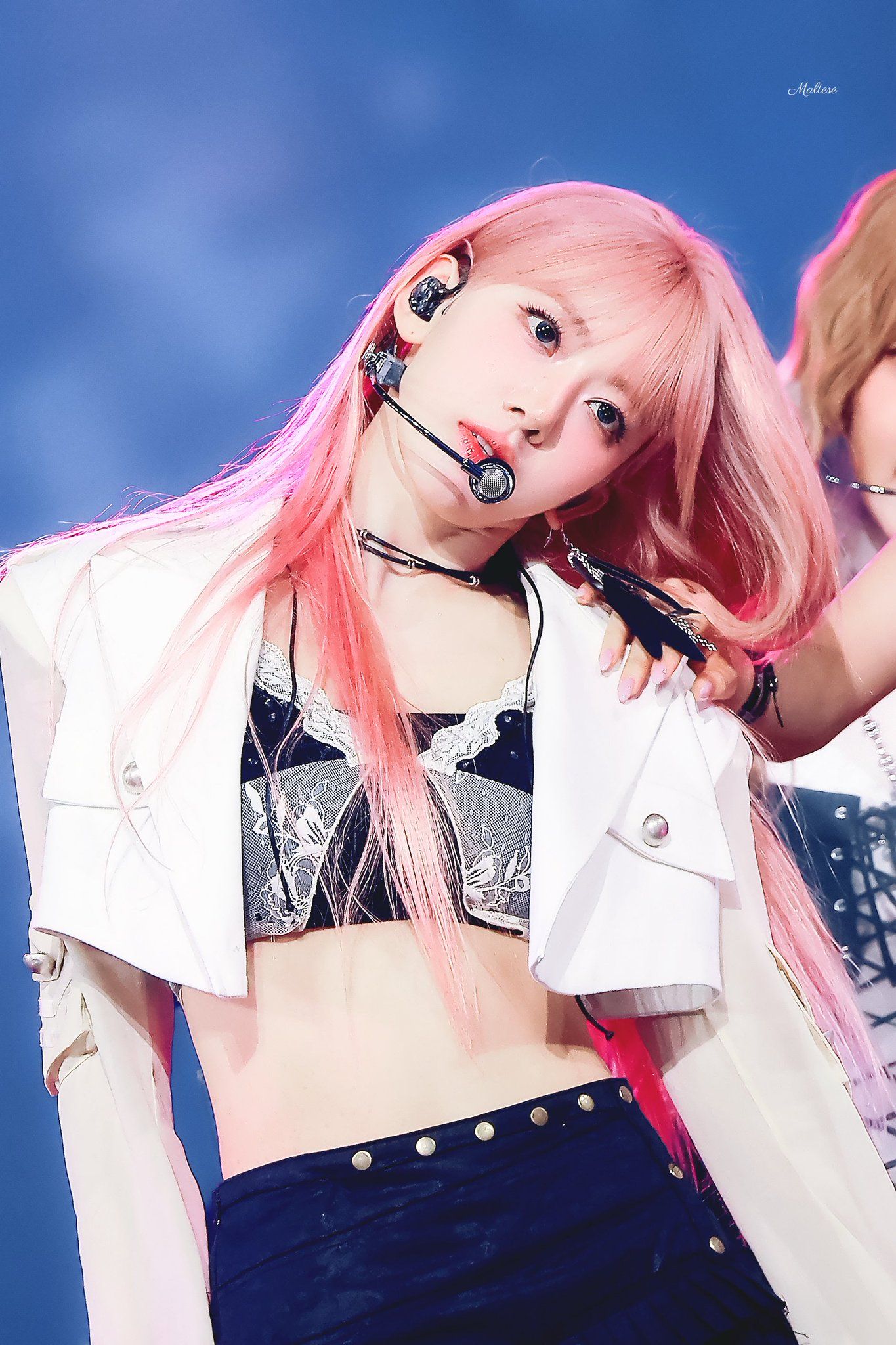 260530 사쿠라 메 (3).jpg