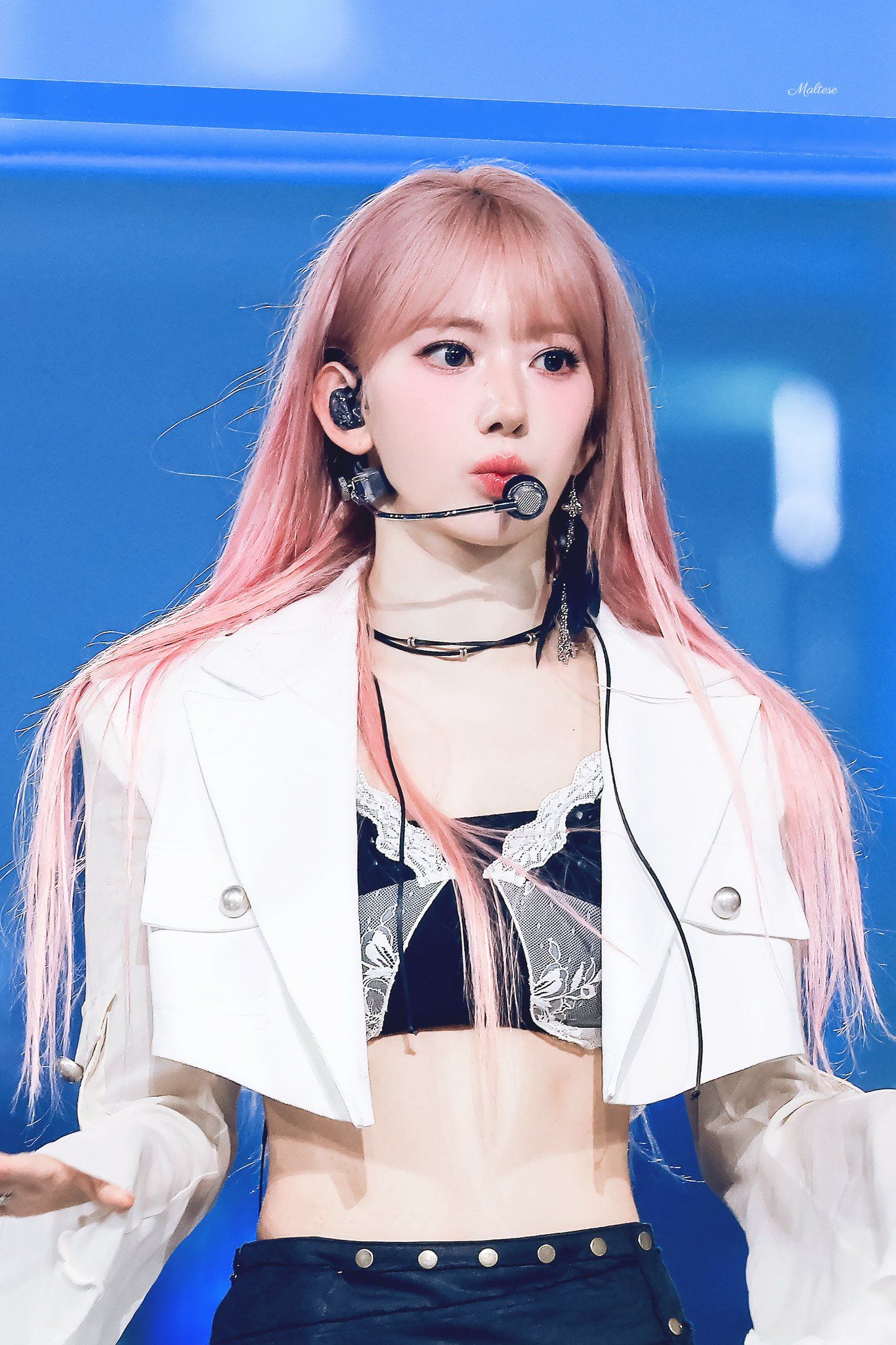 260530 사쿠라 메 (1).jpg