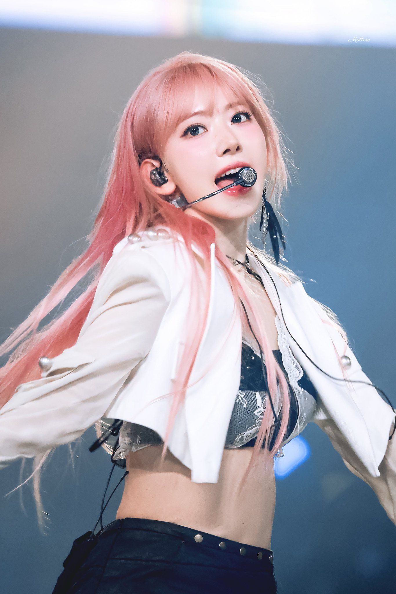 260530 사쿠라 메 (7).jpg