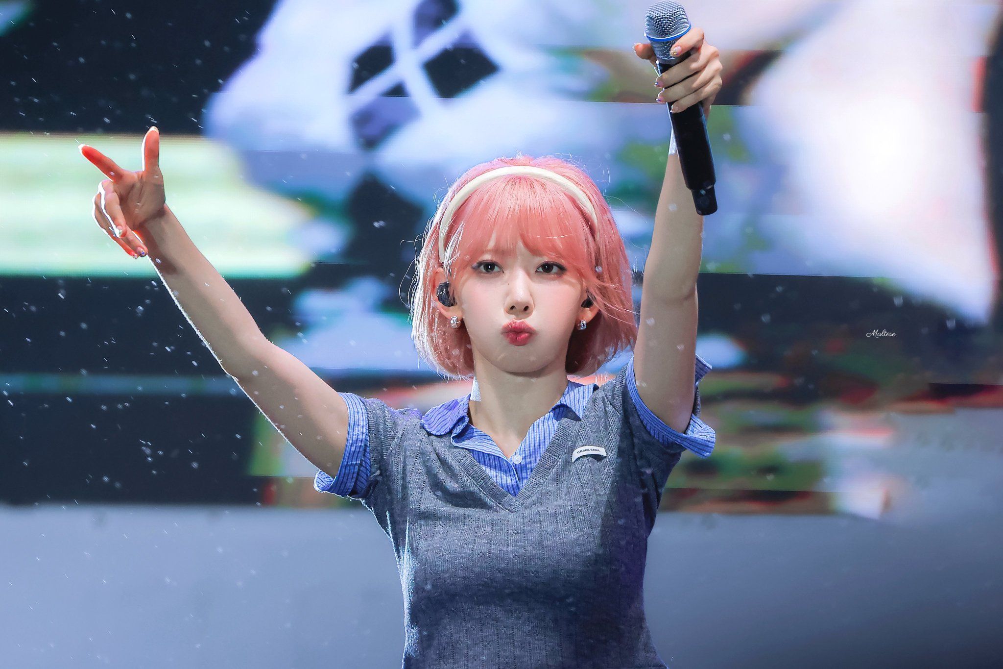 260527 사쿠라 ㅊ (2).jpg