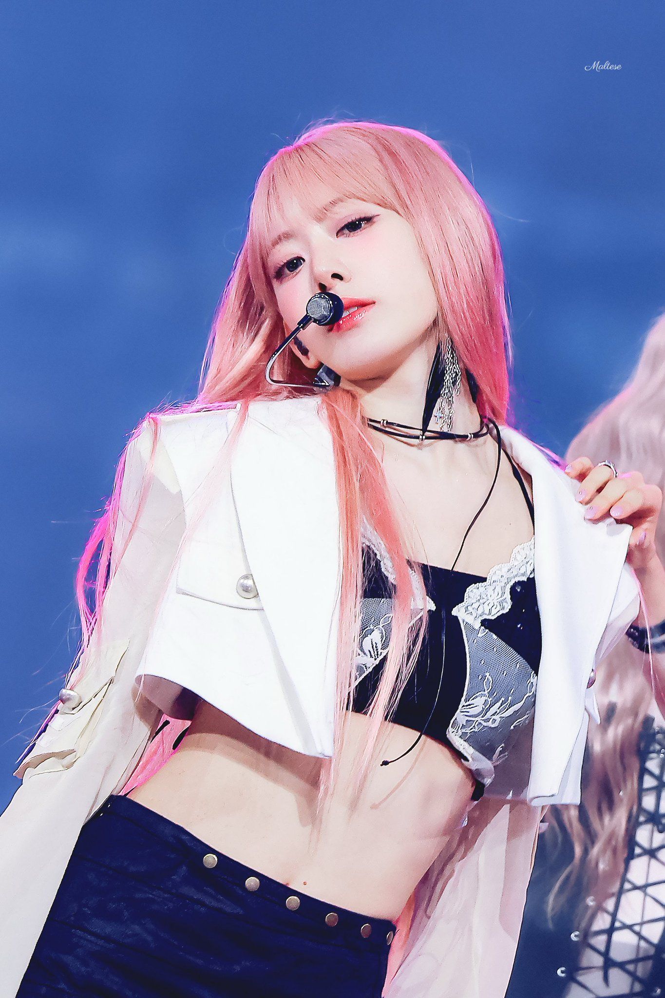 260530 사쿠라 메 (2).jpg