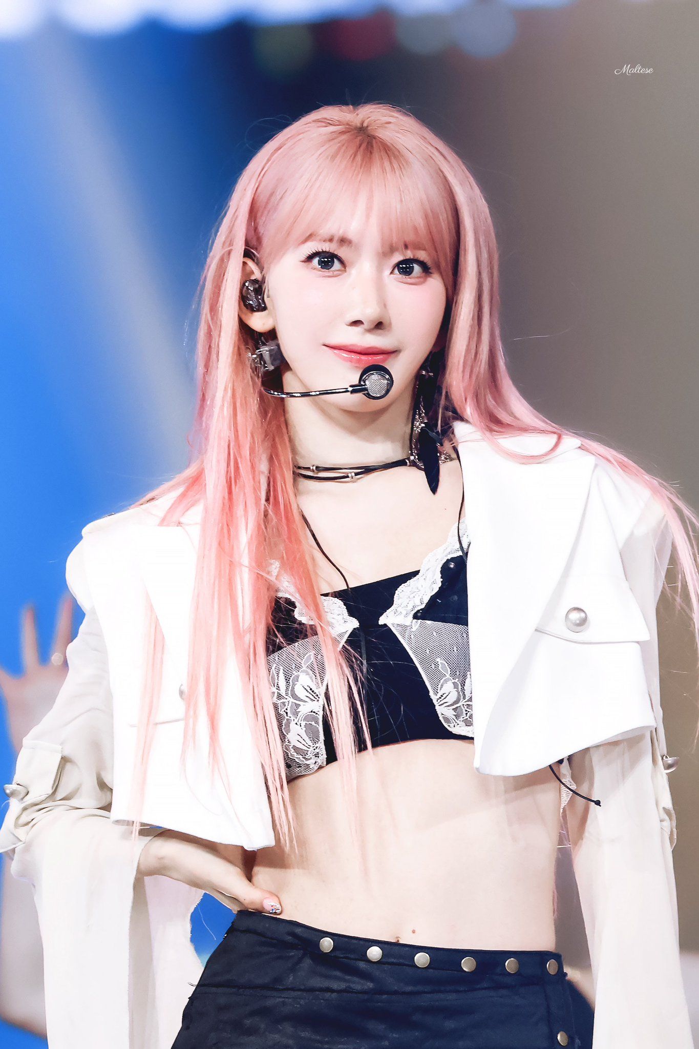260530 사쿠라 메 (6).jpg