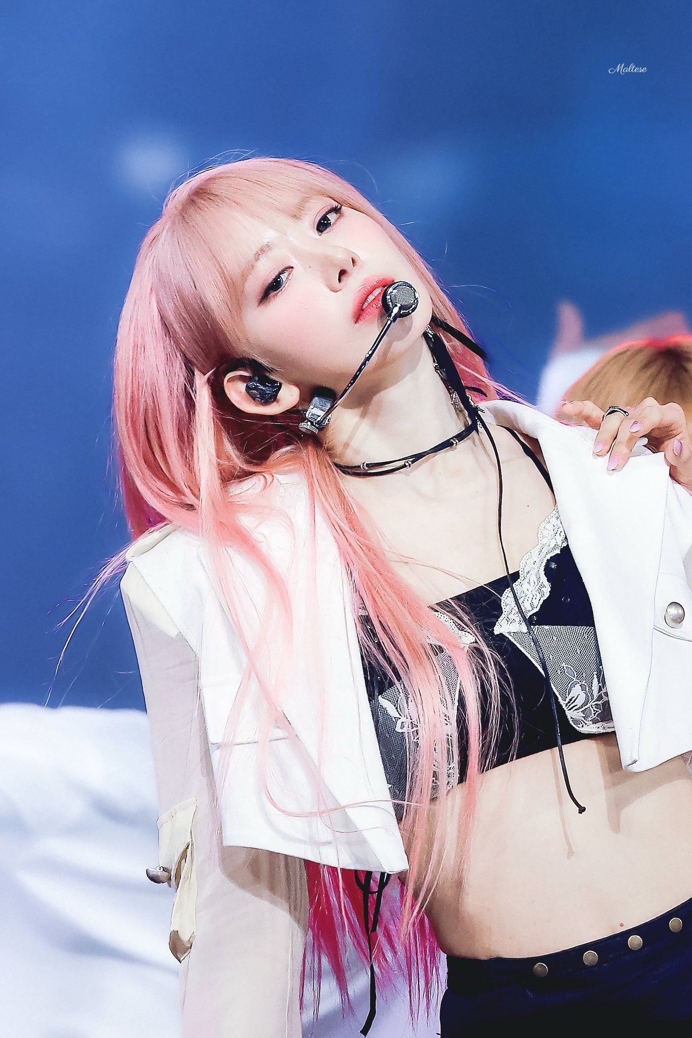 260530 사쿠라 메 (4).jpg