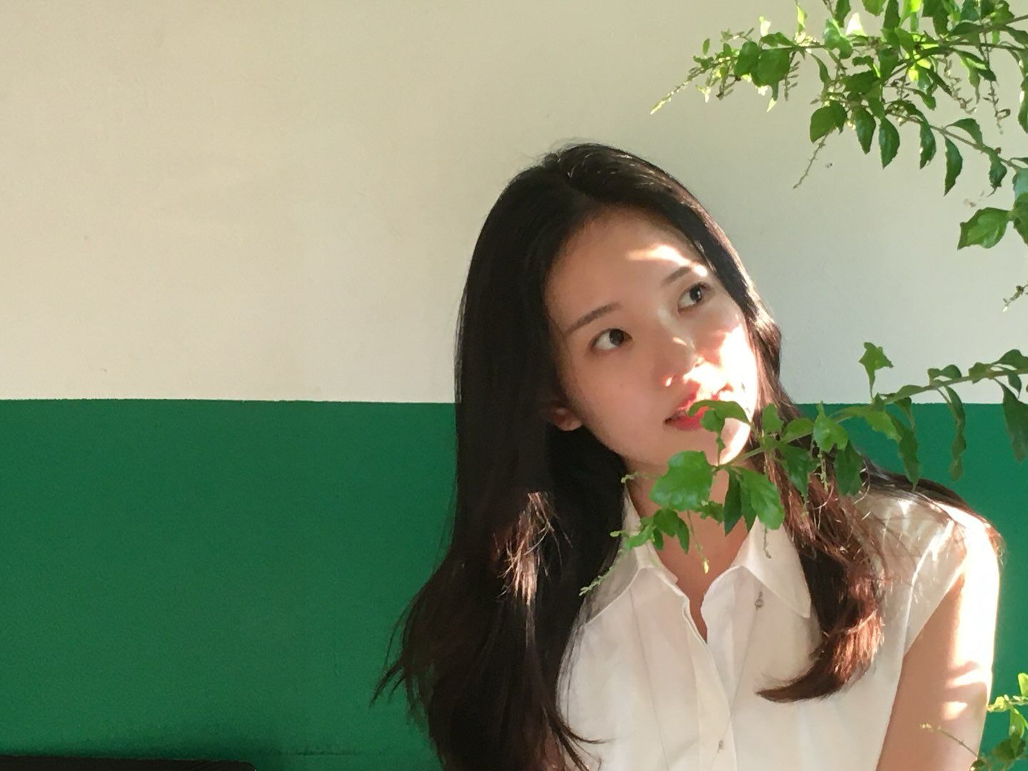 005.jpg