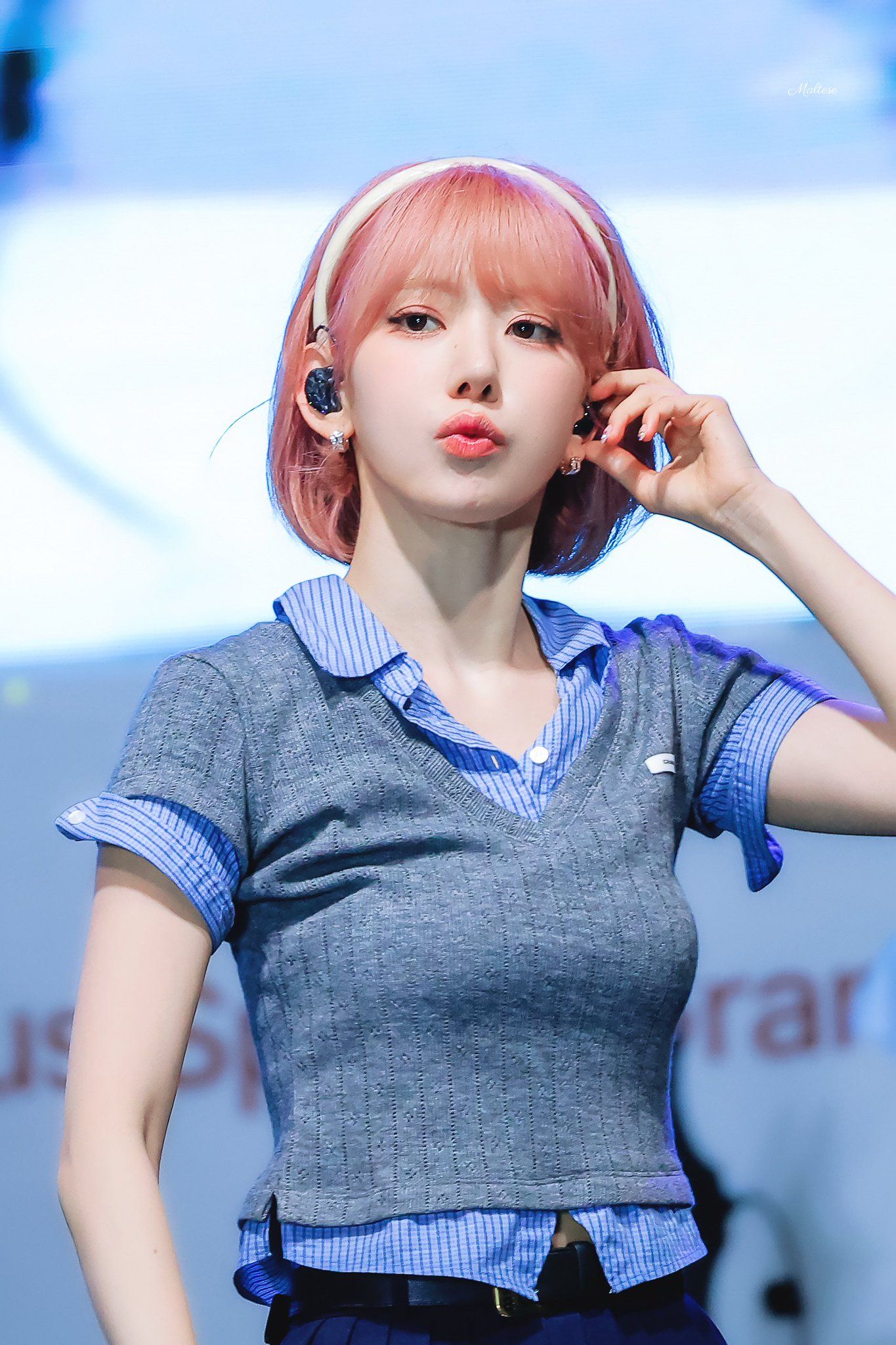 260527 사쿠라 ㅊ (5).jpg