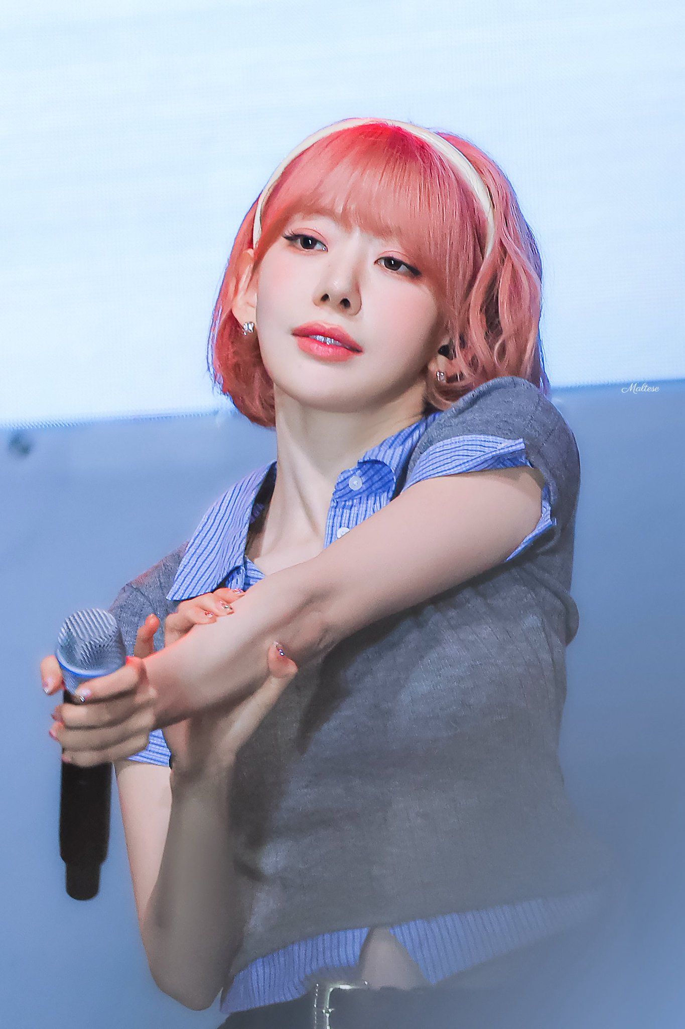 260527 사쿠라 ㅊ (6).jpg