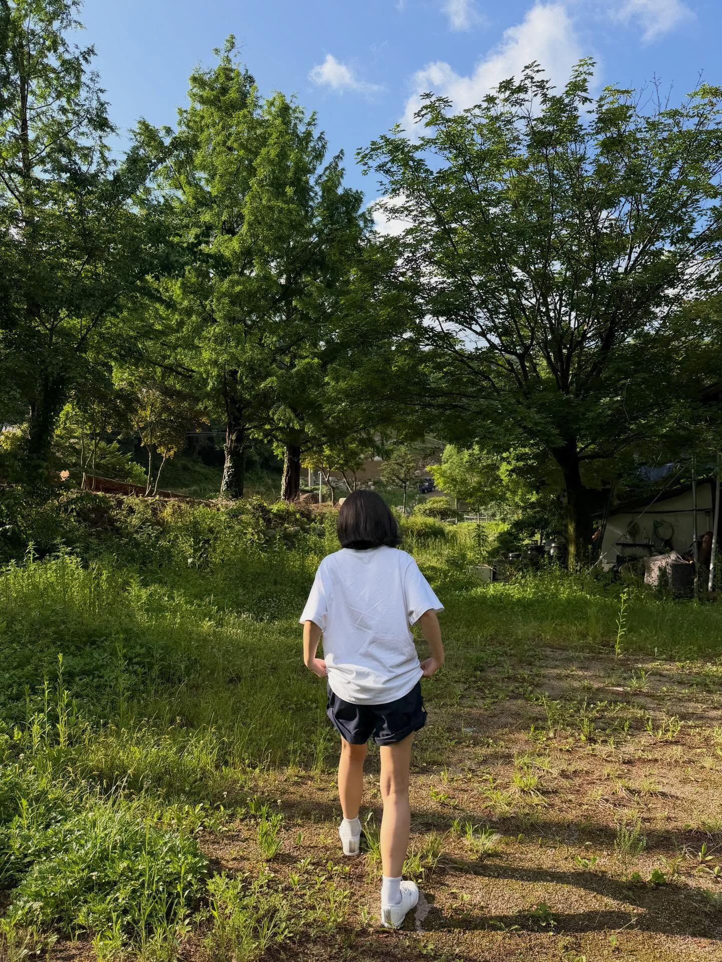 no2yeyo 2026-07-16T163054-03.jpeg