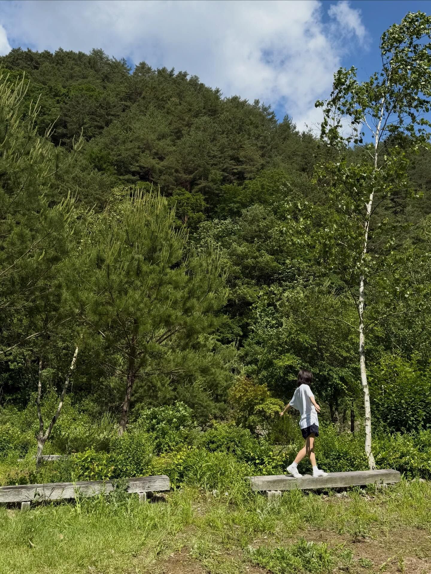 no2yeyo 2026-07-16T163055-04.jpeg