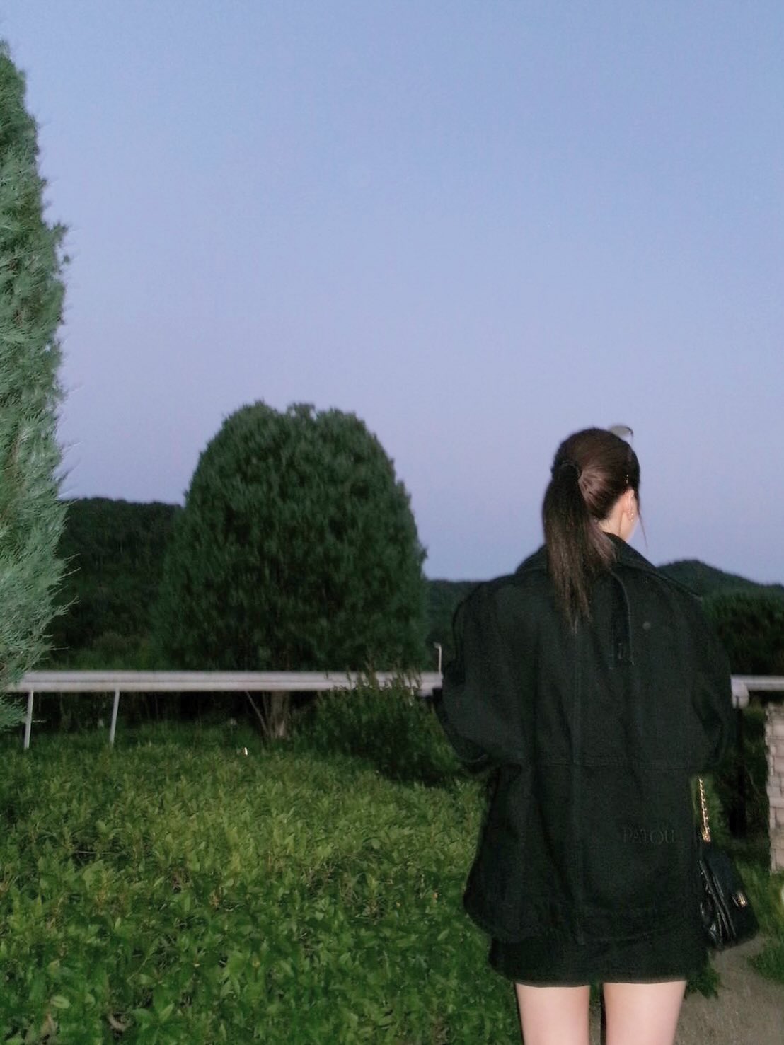 meru_nukumi 2026-05-13T193515-3.jpeg